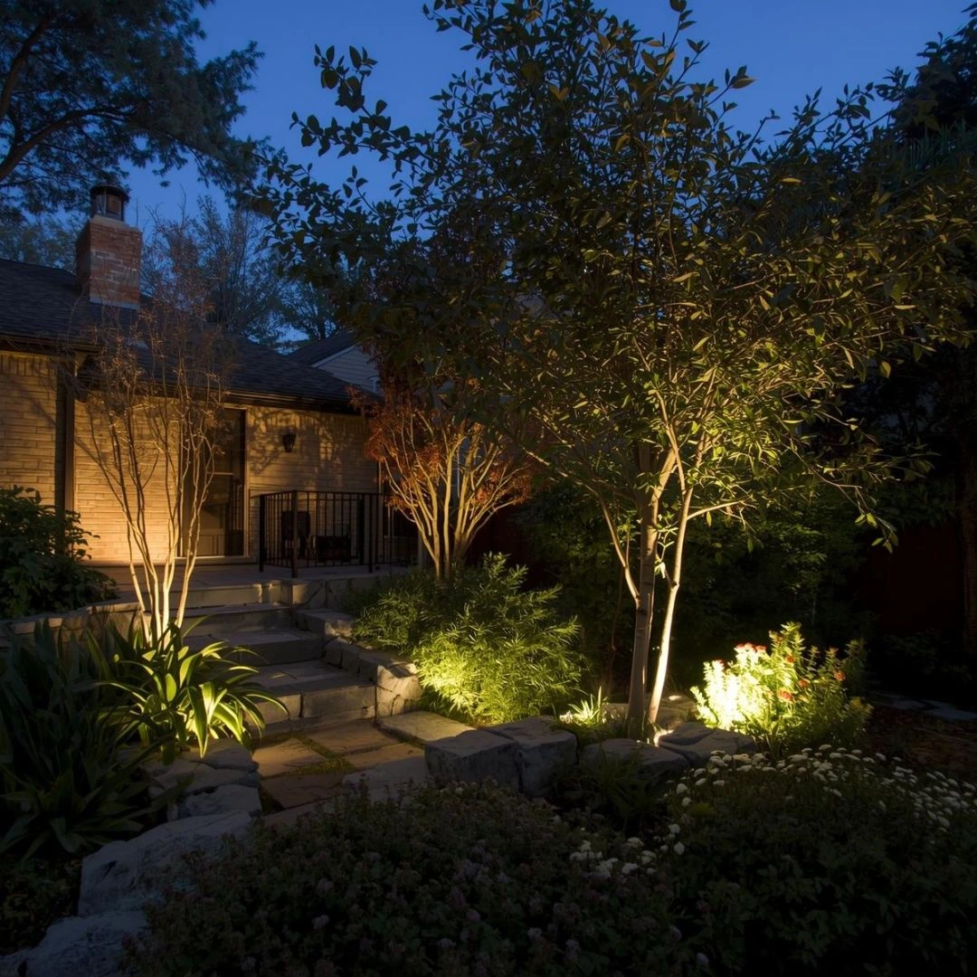 Landscape Lighting Ideas That Quietly Steal the Show