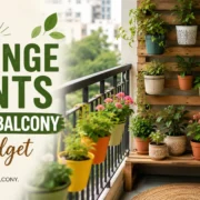 How to Arrange Plants in Small Balcony on a Budget